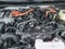 2026 Toyota 4Runner i-FORCE MAX 4Runner TRD Off-Road