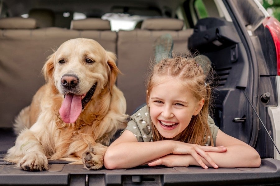 A smiling girl and a Golden Retriever lying in a car trunk